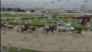 Vidéo de la course PMU PREMI NATHAN TWIST