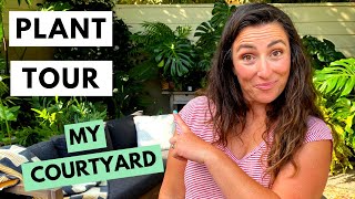 Plant Tour My Jungle Courtyard | Countless Tropical Plants!