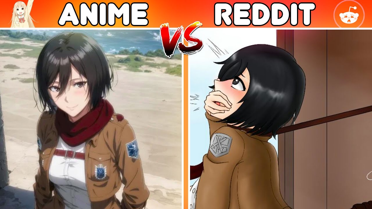 anime vs reddit one｜TikTok Search