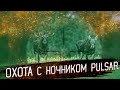 Охота с ночным прицелом Pulsar Digex. Видео с реальной охоты.