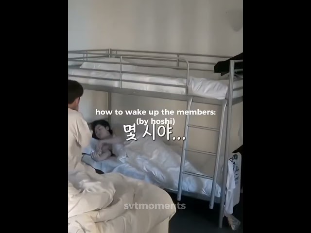 how to wake up seventeen by hoshi, joshua and dokyeom 🤣 #seventeen #nana_tour class=