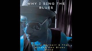 Little Herbert   Why I Sing The Blues
