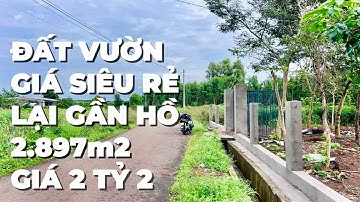 Cần Tiền Xoay Sở Công Việc A Tư Cần Bán Gấp Đất Vườn Ở Bà Rịa Vũng Tàu .Giá Siêu Rẻ