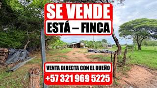 Se Vendefinca De 6 Hectáreasventa Directa Con El Dueño 57 321 969 5225
