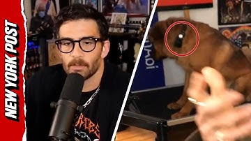 Streamer Hasan Piker Accused of Using a Shock Collar on his Dog to Keep her in the Shot for Views