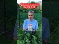 4 червня 2025 р.