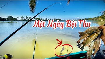 Câu Tôm Càng Xanh! Một Ngày Bội Thu | Catching Giant Freshwater Prawns! A Bountiful Day