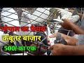भोपाल का फैमस कबूतर बाज़ार जहां मिलते है देशी और विदेशी कबूतर ||