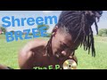 Rich Brzee - SHREEM BRZEE | The Money Song 💸💵💰
