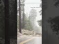 California deals with Tropical Storm Hilary damage