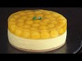 No Bake Mango Cheesecake | How Tasty Channel