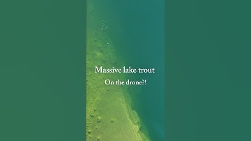 Locked onto a big lake trout from above #fishing #laketrout #freshwaterfish #trout