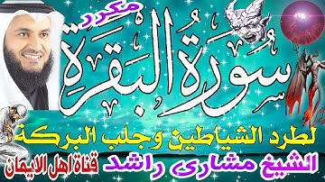 سورة البقرة كاملة مكررة لطرد الشياطين والجن والحسد والعين السحر بصوت الشيخ مشاري راشد surat albaqara