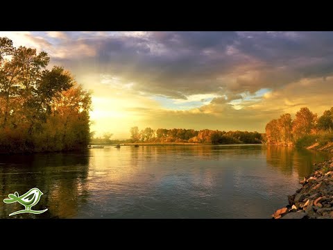 Shenandoah | Relaxing Harp Music | Instrumental Traditional Music ★11