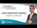 JUICIO ORDINARIO LABORAL - TRÁMITE E INCIDENCIAS