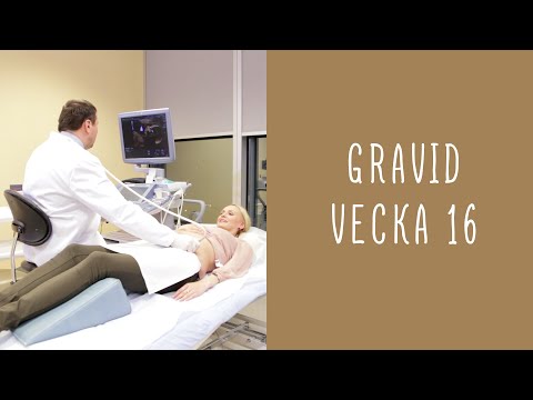 Video: Ser du gravid ut vid 16 veckor?