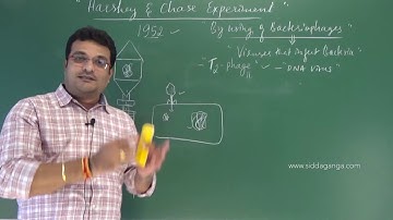 2 PUC - BIOLOGY - MOLECULAR BASIS OF INHERITANCE - PART 7