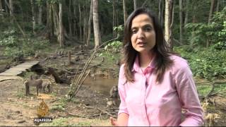 Nigeria project helps protect endangered mammals