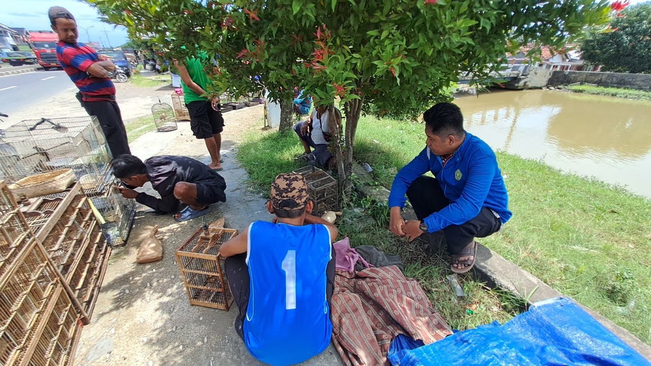 Yang ngebet pengen jadi kuwu/kepala desa segera merapat di lapak wakabul