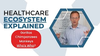 Healthcare Ecosystem Power Structure Explained