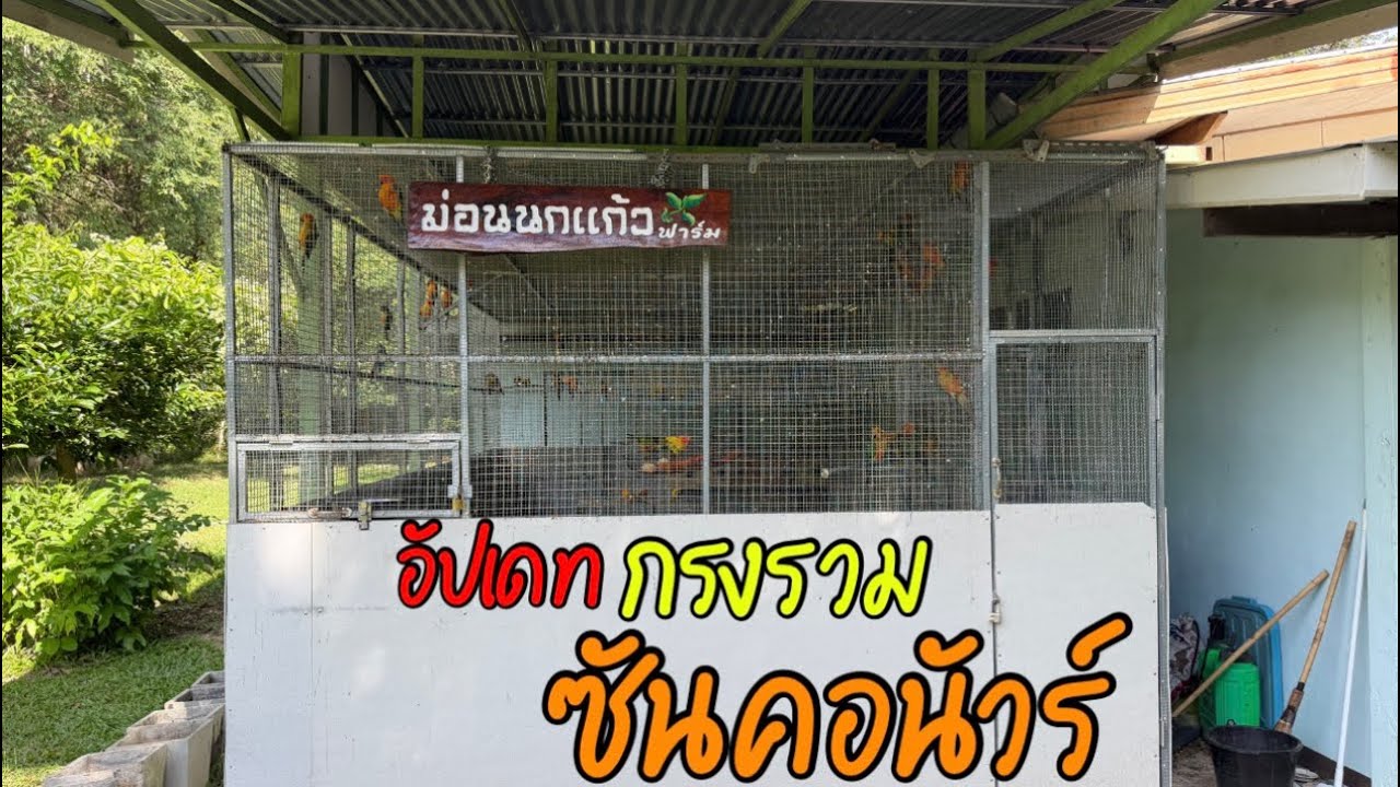 พาชมกรงรวม นกซันคอนัวร์ 