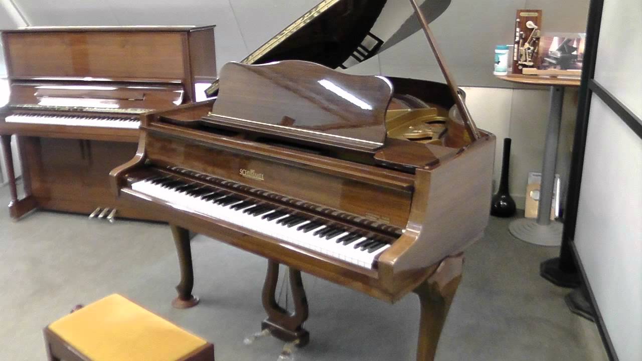 明日を夢見て 19/195 schimmel 明日を夢見て 19/195 schimmel Schim