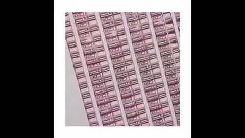 Ariana Grande   “Feel It” SNIPPET  AG4