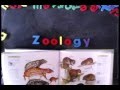 Stop-Motion Science by Lucas Miller, the &quot;singing zoologist&quot; What is &quot;Zoology?&quot;