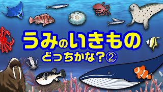 【子供が喜ぶ水族館】海の生き物どっちかな？➁お魚さんたちが大集合！さかなの名前クイズ★クジラ・アザラシ・ハリセンボン・マンタ・ふぐ・カクレクマノミ★未就学児向け教育・Fish気分はスキューバダイビング