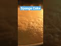 How to make Vanilla Sponge Cake  |  fluffy cake Recipe |  Easy Cake |  Chef Ricardo Cooking