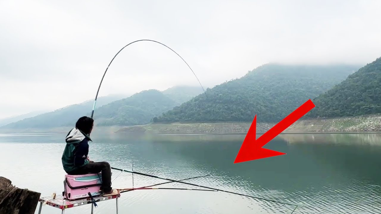 藍幽幽的深潭魚真多，小夥開桿釣魚半個月，大貨草魚連連上鉤，魚都被感動了#釣魚 #野釣 #大魚