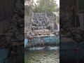 অনেক সুন্দর একটা ঝর্ণা