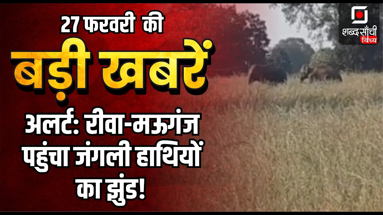 Shabd Sanchi Vindhya News Bulletin | Rewa Crime News | Satna Accident News | Maihar News