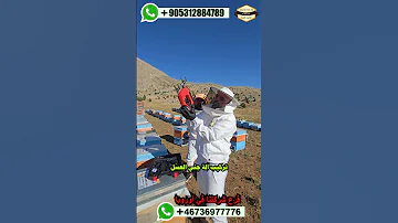 الة جني العسل عسل الكراكوان مناحل غذائيات المونة عسل مناحل اوروبا المانيا تركيا غذائيات المونة 