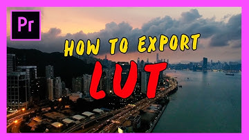 How to Export LUT in Adobe Premiere Pro 2018
