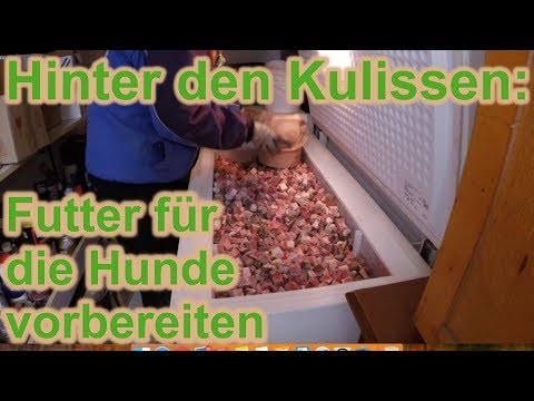 Video: Hundefutter zur Verhinderung der Bildung von Calciumoxalat-Steinen