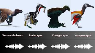 Sound Of Raptor Dinosaurs Dromaeosauridae Part 2