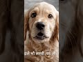 subscribe for more