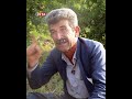 جارێکی دیکە هەورامییەکان ناتوانن گوێز بچێنن جارێکی دیکە هەورامییەکان ناتوانن گوێز بچێنن