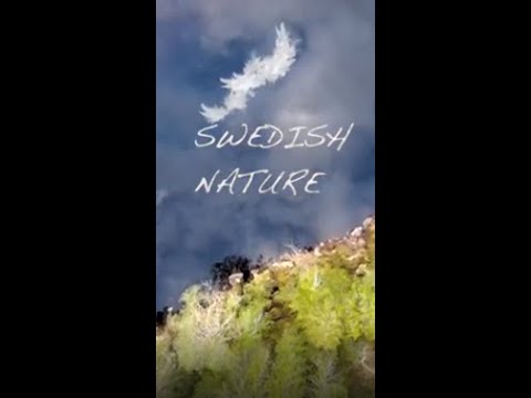 Swedish nature from above #shorts