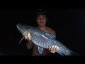 BERBURU & IKAN MAHSEER DI SUNGAI KALIMANTAN - CATCH & COOK