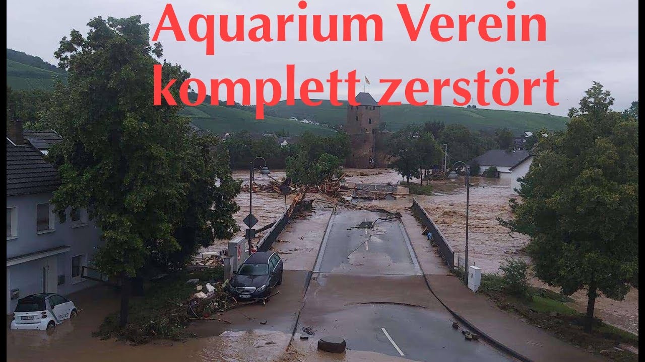 Unser Aquarium findet den Weg zu Flutopfern in Bad Neuenahr YouTube
