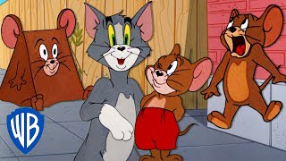 Tom \& Jerry | Best of Jerry Mouse 🐭🤎 | Classic Cartoon Compilation | @wbkids​