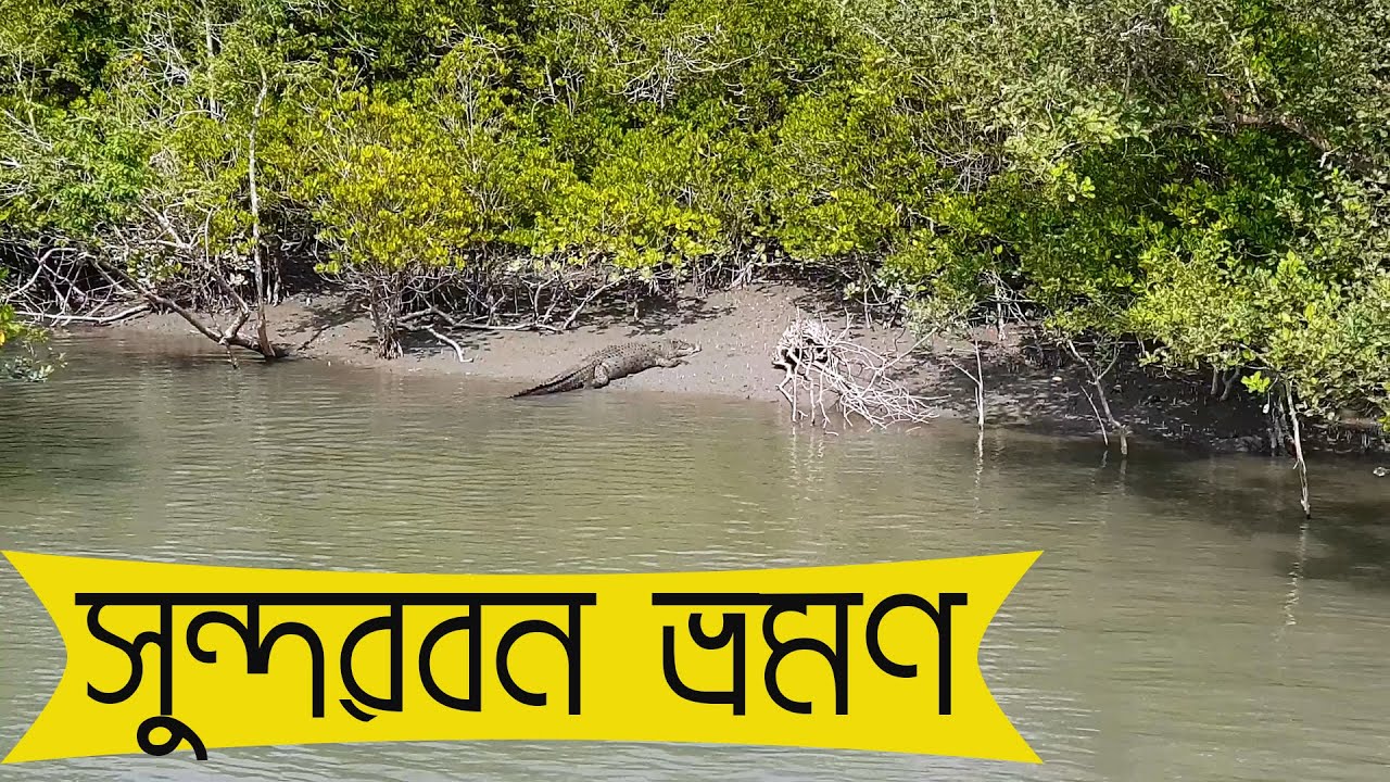 Sundarban Travel  All about the jungle and journey by boat  Pakhirala to Dobaki
