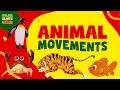Animal Movements Quiz