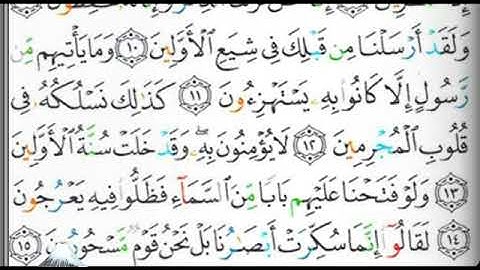 مصحف التجويد الصفحة 262 إبراهيم الأخضر