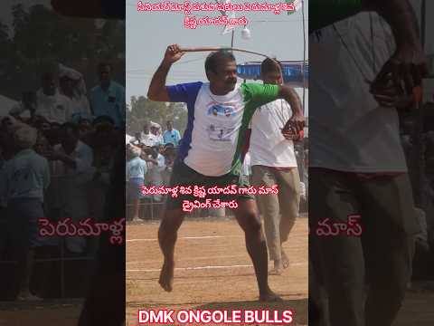 సీనియర్ మోస్ట్ పశుపోషకులు పెరుమాళ్ల శివ క్రిష్ణ యాదవ్ గారు #youtubeshorts #shorts #trendingshorts