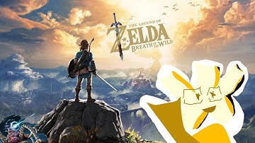 The Legend Of Zelda Breath of the wild!