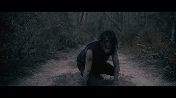 SWARM - I