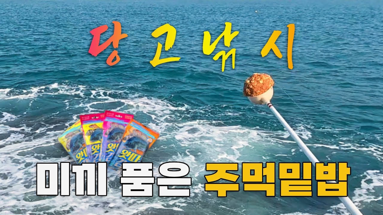 미끼밑밥동조 100%, 감성돔 당고 찌낚시 도전해 보았습니다.